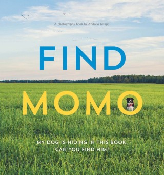 Cover image: Find Momo 9781594746789