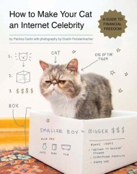 Cover image: How to Make Your Cat an Internet Celebrity 9781594746796