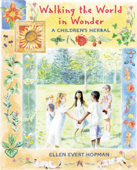 Cover image: Walking the World in Wonder 9780892818785