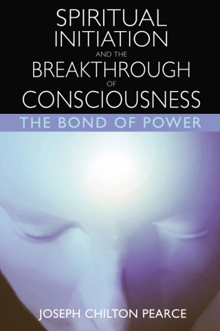 Cover image: Spiritual Initiation and the Breakthrough of Consciousness 2nd edition 9780892819959