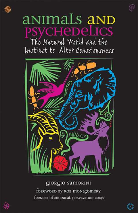 Animals and Psychedelics: The Natural World and the Instinct to Alter Consciousness - FULL INSTANT DOWNLOAD | PDF DOCX EPUB