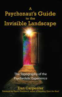 Cover image: A Psychonaut's Guide to the Invisible Landscape 9781594770906