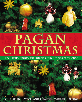 Cover image: Pagan Christmas 9781594770920
