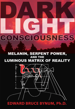 Cover image: Dark Light Consciousness 9781594774720