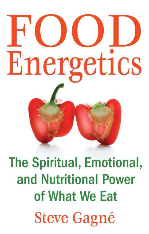 Food Energetics: The Spiritual, Emotional, and Nutritional Power of What We Eat, 2nd Edition - FULL INSTANT DOWNLOAD | PDF DOCX EPUB