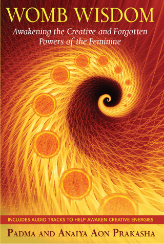 Cover image: Womb Wisdom 9781594773785