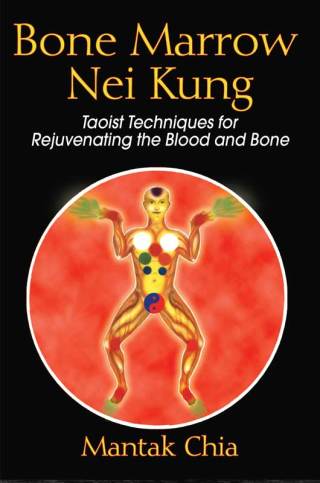 Cover image: Bone Marrow Nei Kung 9781594771125