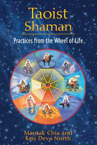 Cover image: Taoist Shaman 9781594773655