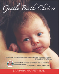 Cover image: Gentle Birth Choices 9781594770678