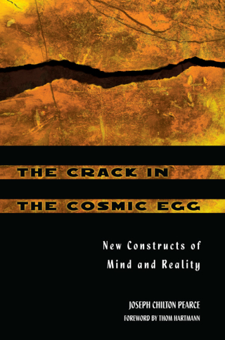 Cover image: The Crack in the Cosmic Egg 9780892819942