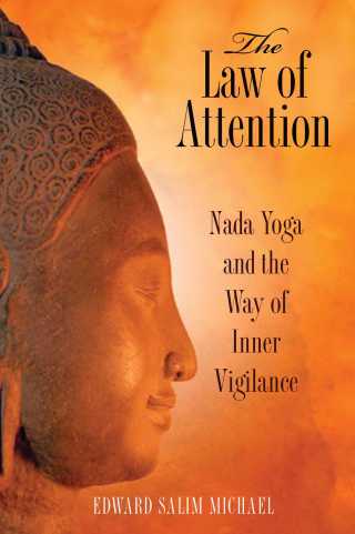 Cover image: The Law of Attention 2nd edition 9781594773044
