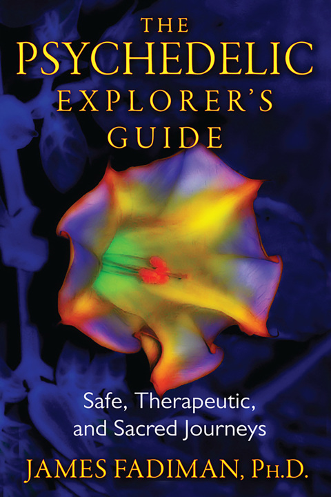 The Psychedelic Explorer's Guide: Safe, Therapeutic, and Sacred Journeys - FULL INSTANT DOWNLOAD | PDF DOCX EPUB