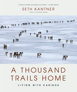 Imagen de portada: A Thousand Trails Home 9781594859700