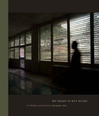 Cover image: My Heart Is Not Blind 9781595348746