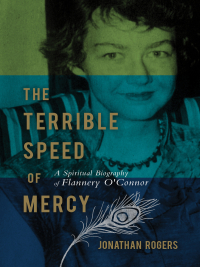 Cover image: The Terrible Speed of Mercy 9781595550231