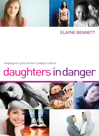 Cover image: Daughters in Danger 9781595554505