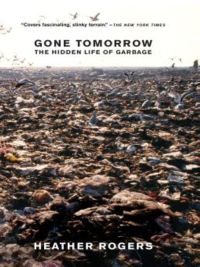 Cover image: Gone Tomorrow 9781421803210