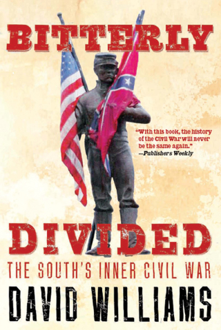 Cover image: Bitterly Divided 9781595584755