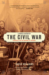 表紙画像: A People's History of the Civil War 9780739474709