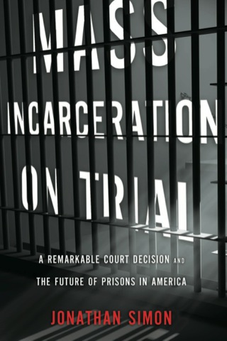 صورة الغلاف: Mass Incarceration on Trial 9781595587695