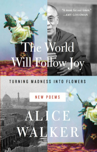 صورة الغلاف: The World Will Follow Joy 9781595589873