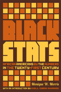Cover image: Black Stats 9781595589194