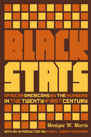 Cover image: Black Stats 9781595589194