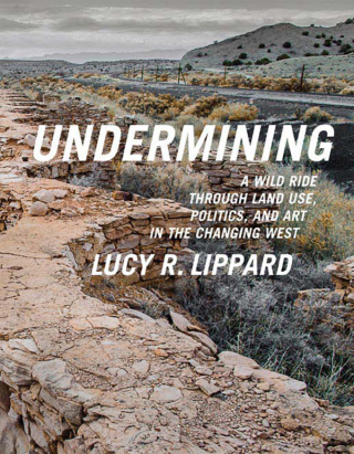 Imagen de portada: Undermining 9781595586193