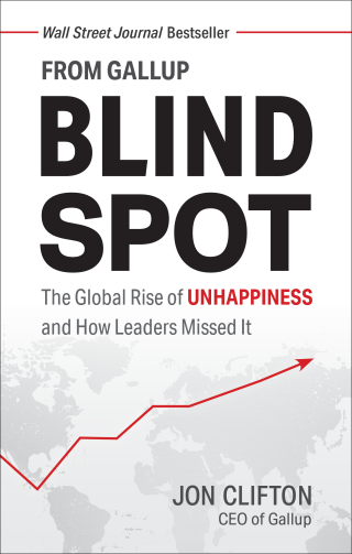Cover image: Blind Spot 1st edition 9781595622457