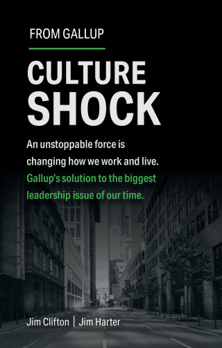 Cover image: Culture Shock 1st edition 9781595622471