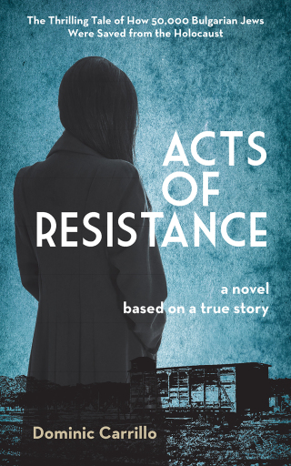 Cover image: Acts of Resistance: A Novel 9781595801197