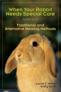 Cover image: When Your Rabbit Needs Special Care 9781595800312