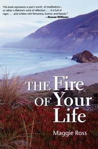 Immagine di copertina: The Fire of Your Life 9781596270510