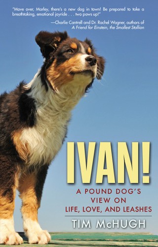 Imagen de portada: Ivan! 9781596528314