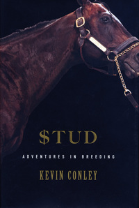 Cover image: Stud 1st edition 9781582343327