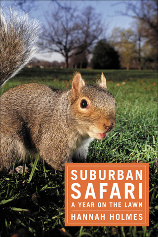 Cover image: Suburban Safari 1st edition 9781596910911
