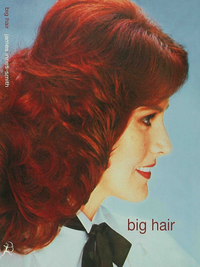 صورة الغلاف: Big Hair 1st edition 9781582344492