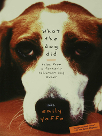 Cover image: What the Dog Did 1st edition 9781582345659