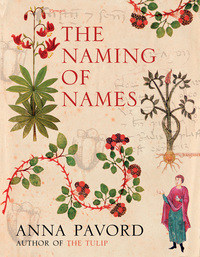 Cover image: The Naming of Names 1st edition 9781596910713