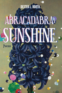 Imagen de portada: Abracadabra, Sunshine 9781597094474