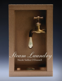 Cover image: Steam Laundry 9781597092289