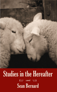 Cover image: Studies in the Hereafter 9781597099950