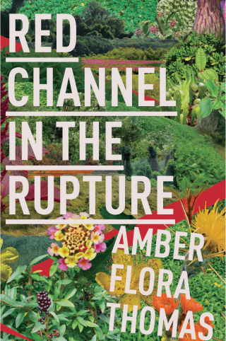 Imagen de portada: Red Channel in the Rupture 9781597096195