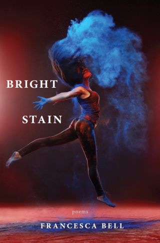 Immagine di copertina: Bright Stain 9781597098618