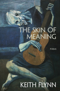 Titelbild: The Skin of Meaning 9781597098489