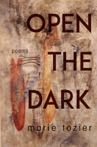 Cover image: Open the Dark 9781597099202
