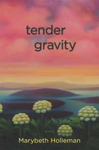 Cover image: tender gravity 9781597099370