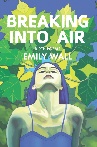 Immagine di copertina: Breaking into Air 9781597099233