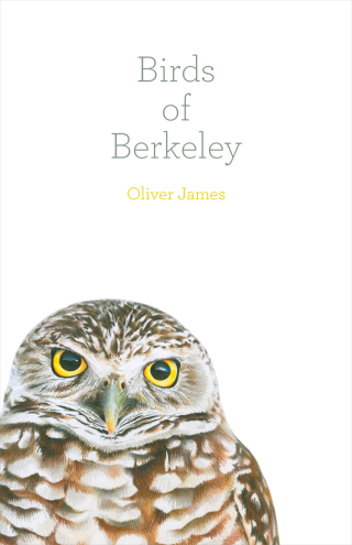 Cover image: Birds of Berkeley 9781597144070