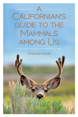 Cover image: A Californian's Guide to the Mammals Among Us 9781597144438